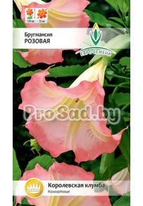 Бругмансия розовая