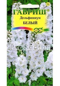 Дельфиниум культурный Белый