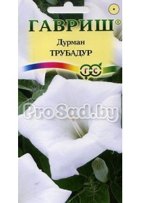 Дурман Трубадур