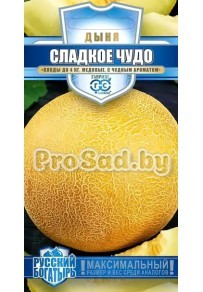 Дыня Сладкое чудо