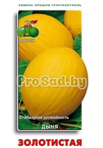 Дыня Золотистая