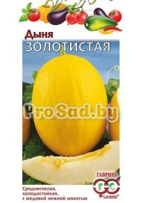 Дыня Золотистая