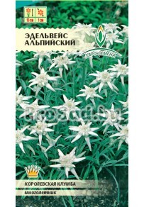Эдельвейс Альпийский