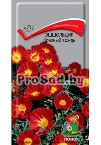 Эшшольция Красный вождь