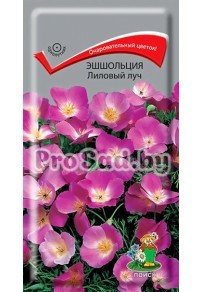 Эшшольция Лиловый луч