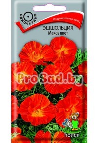 Эшшольция Маков цвет