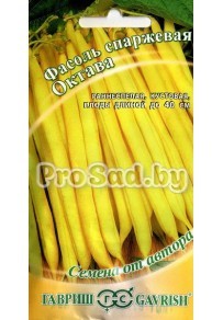 Фасоль спаржевая Октава