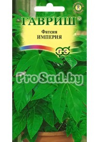 Фатсия японская Империя