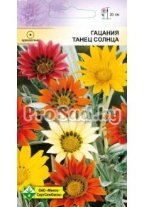 Гацания блестящая Танец солнца