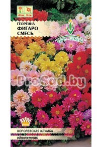 Георгина Фигаро, смесь