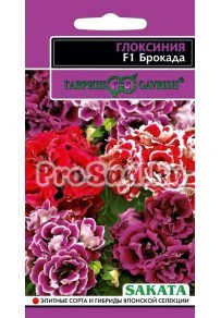 Глоксиния махровая F1 Брокада, смесь