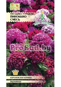 Гвоздика турецкая Пиноккио, смесь