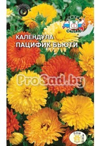 Календула махровая Пацифик бьюти