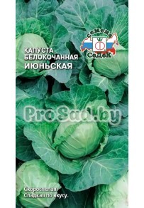 Капуста белокочанная Июньская
