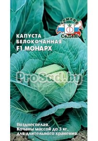 Капуста белокочанная F1 Монарх