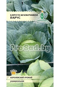 Капуста белокочанная Парус