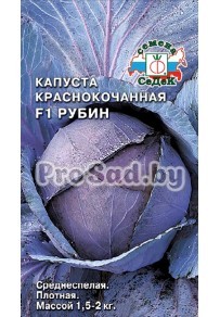 Капуста краснокочанная F1 Рубин