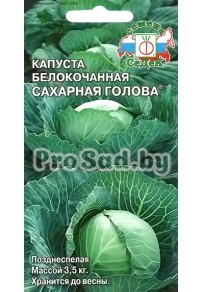 Капуста белокочанная Сахарная голова