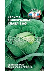 Капуста белокочанная Слава 1305