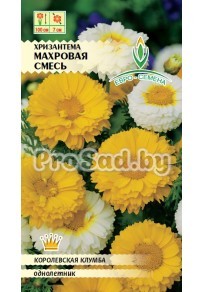 Хризантема увенчанная Махровая, смесь
