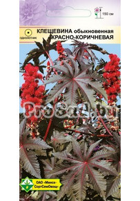 Клещевина обыкновенная Красно-Коричневая