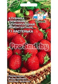 Клубника (Земляника крупноплодная ремонтантная) F1 Настенька