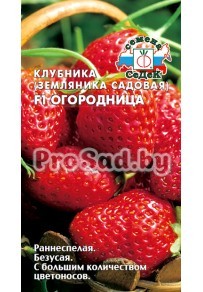 Клубника (Земляника садовая) F1 Огородница