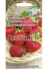 Клубника (Земляника садовая) F1 Сладкоежка