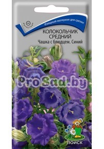 Колокольчик средний Чашка с блюдцем, синий