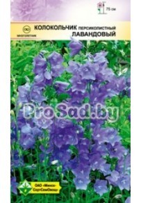 Колокольчик персиколистный Лавандовый
