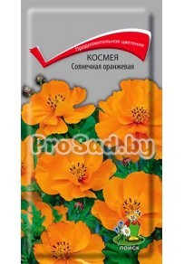 Космея Солнечная оранжевая
