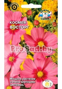 Космея (Космос) дваждыперистая Восторг