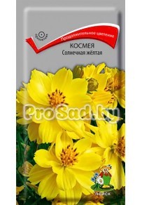 Космея Солнечная жёлтая