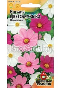 Космея Цветомузыка, смесь