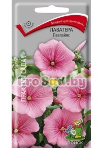 Лаватера Лавлайнс