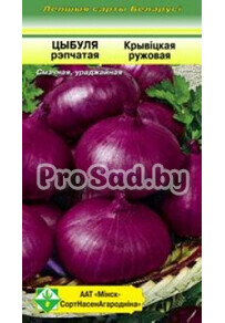 Лук репчатый Кривичский розовый