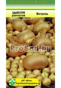 Лук репчатый Ветразь
