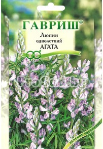 Люпин однолетний Агата