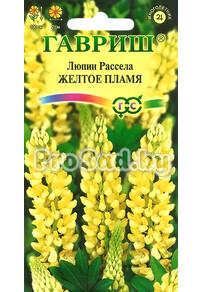 Люпин Рассела Жёлтое пламя