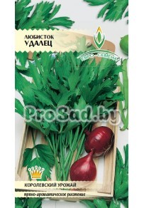 Любисток Удалец