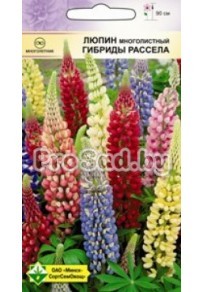 Люпин многолистный гибриды Рассела