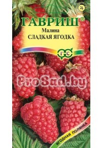 Малина Сладкая ягодка