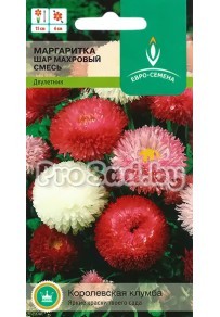 Маргаритка Шар махровый, смесь