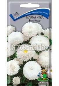 Маргаритка Белый шар