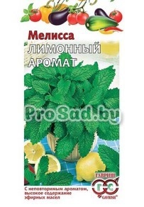 Мелисса лекарственная Лимонный аромат