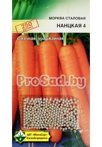 Морковь столовая Нантская 4 (драже) (Германия)