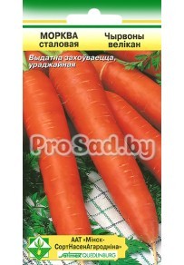 Морковь Красный великан (Германия)