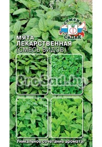 Мята Лекарственная (смесь видов)