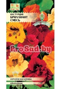 Настурция компактная Бриллиант, смесь