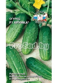 Огурец F1 Хрумка